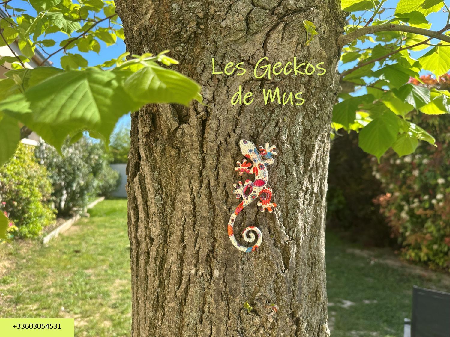 Les Geckos De Mus Leilighet Eksteriør bilde